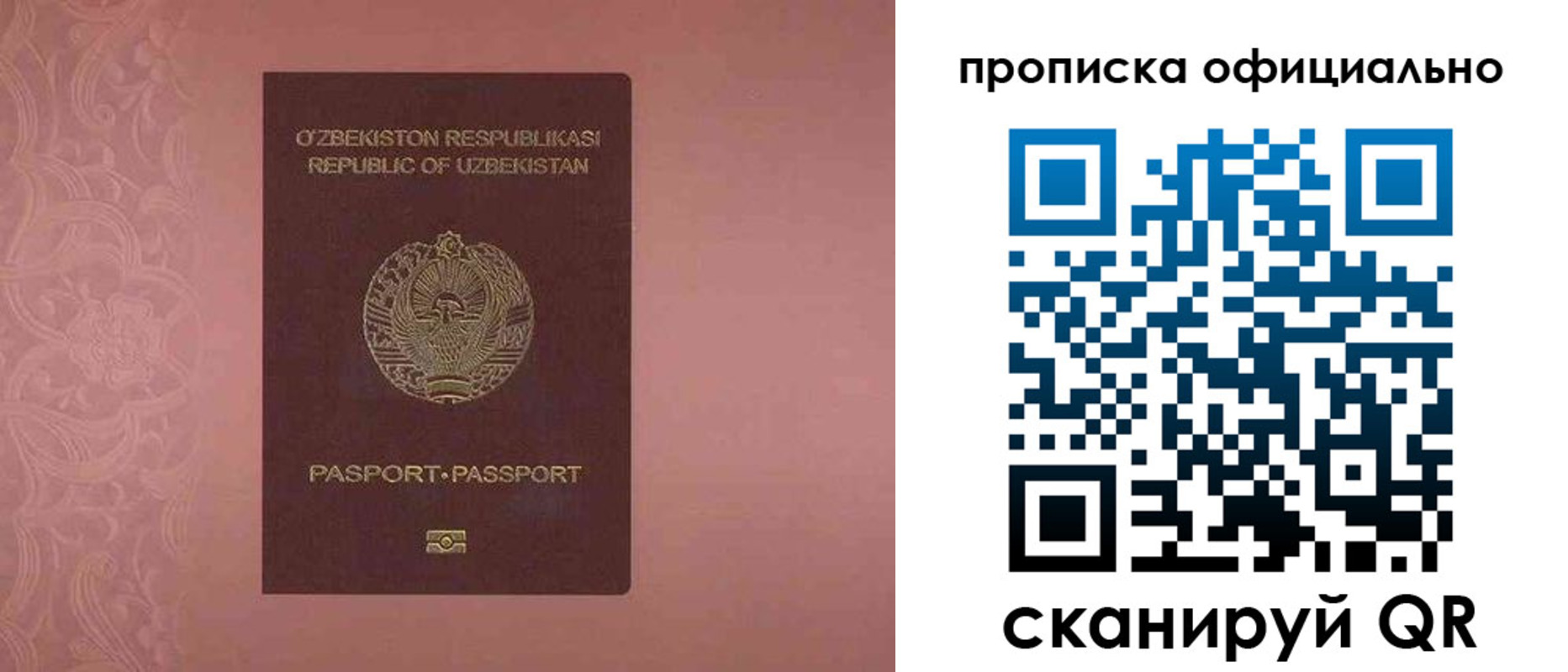 прописка гарантия в Котово